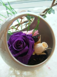 DSCF2436