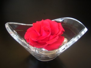 DSCF3186