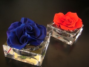 DSCF3241